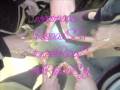 videos de nFc ante toDo.wmv