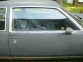 84 CUTDOG
