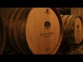 Clausura Música entre vinos 2012 en Bodegas Alceño