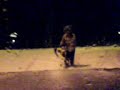 Stiga Snowracer Åker i 90km/h på sladd