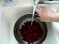 Rinsing cranberries