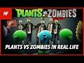 PLANTS VS ZOMBIES IN REAL LIFE (FAN MADE)