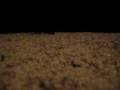 videos de is my guitar better with or without the pickjguard?