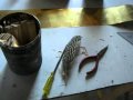 Geocaching en France