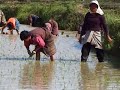 Bhutan Journey