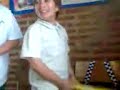 Megasopeda pirata