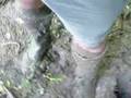 adv2008062701al