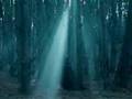 My Immortal- Arwen Fanvid