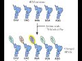 Where and How do Proteins Fold, David?