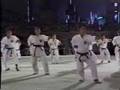1990 Okinawan Karate ~ Kobudo Festival # 4