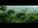 Panama, it will never leave you Panama, it will never leave you