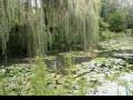 videos de jardin de Monet 2008.wmv