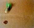 Going Small
