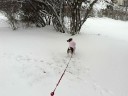 First day of playing in the snow 2008.AVI First day of playing in the snow 2008.AVI