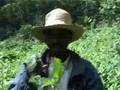 T4D Burundi - Clip 10 - Busekera