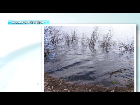 Тело пенсионера нашли в затоне Припяти видео