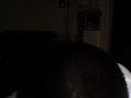 re-incredible-mccain-girl-hulk-spoof.html