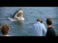 Tribute to Jaw's Roy Scheider