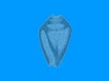 radiograph.mp4