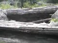 07.25.06 Stanley Hot Springs in Idaho Clip 05