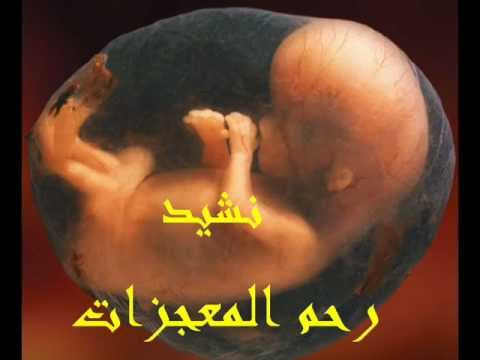 رحم