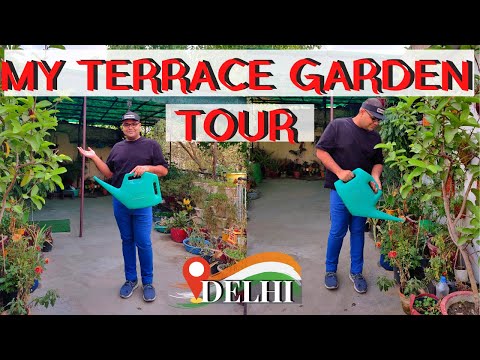 My Terrace Garden Tour *Most Requested* !