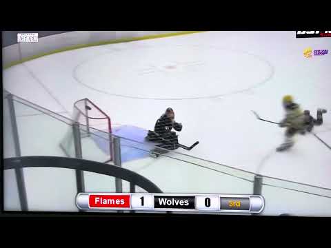 Game Tying Goal v/Flames