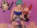 Dragon Ball Z (Generic of the animate drawing)