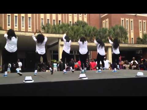 Stroll - The Mu Epsilon Chapter of Zeta Phi Beta Sorority, Inc. performing at the University of Florida for FISS 2014.