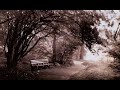 Ezer ez da betiko - By Txi