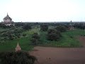 Mot in Myanmar - Bagan