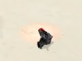 KotF Darth Maul vs Qui-Gon Jinn from Tatooine