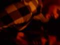 videos de Simple Plan adventures
