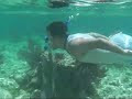 Snorkeling at pennekamp