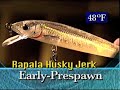 Prespawn Largemouth Psychology Prespawn Largemouth Psychology