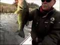 Prespawn Largemouth Psychology