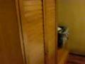 Staying in India/Pune - My hotel room