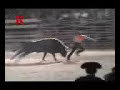 corrida de hunucma (tragedia)
