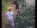 Black Cat vs. Walking Baby