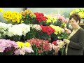 Gillespie Florists - Current Stock in Cooler 11-10-09
