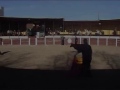 bull-run-carnage.html
