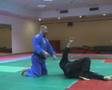 Ippon seoi nage