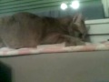 20091225001.mp4