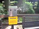 Designated Smoking Area