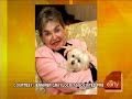 billions to care for dogs