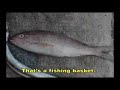 Ha�ti Jacmel Journal \"Fishing\" Photo Report