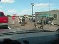 DHS Checkpoint Blog Entry 10: Man's Best Friend