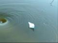 water of doom