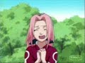 sasuke sakura and naruto peros de la cayes