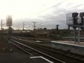 Class 37 railtour